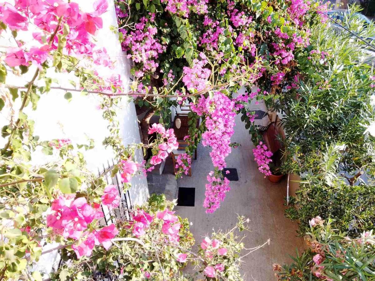 Apartment Irini Platanias (Crete)