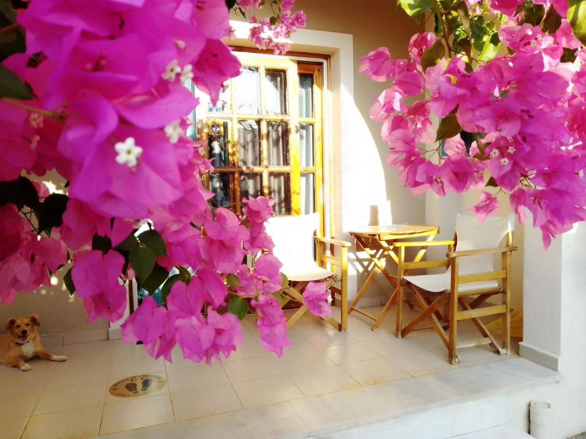 Irini Apartment *